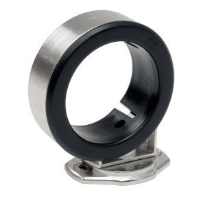 Selden Bovspryds ring