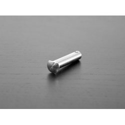 Selden pinbolt 12x61mm (D-bolt), hul 4,5