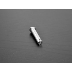 Selden pinbolt 12x61mm (D-bolt), hul 4,5
