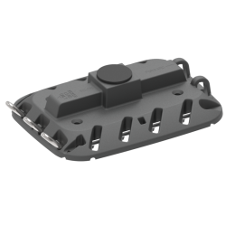 Selden mastefod  C211-CC224